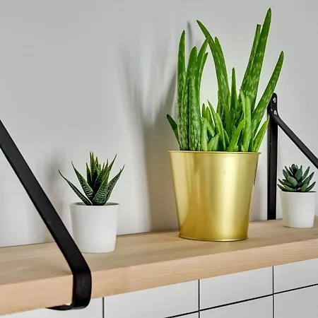 Walowa Stara Stocznia Apartment